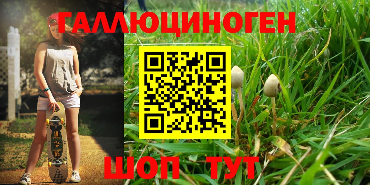 Галлюциногенные грибы GOLDEN TEACHER  где найти   Качканар  Вход с VPN 
